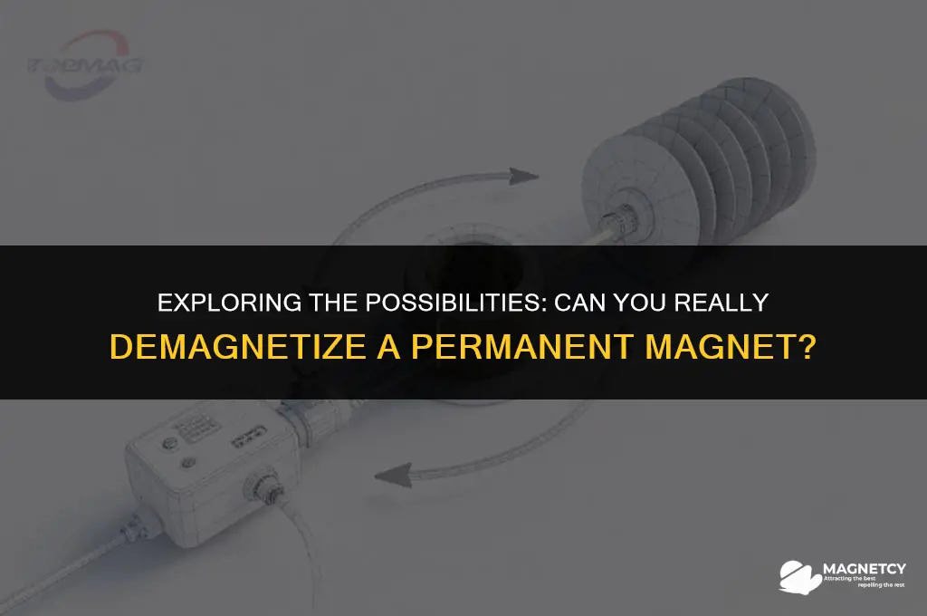 can you demagnetize a permanent magnet