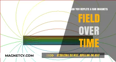 Exploring the Longevity of Bar Magnet Fields: A Scientific Inquiry