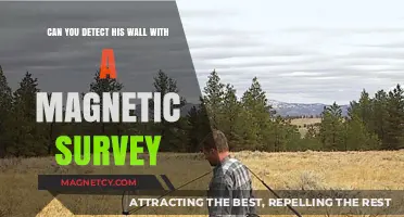 Unveiling Hidden Structures: The Power of Magnetic Surveys in Archaeology