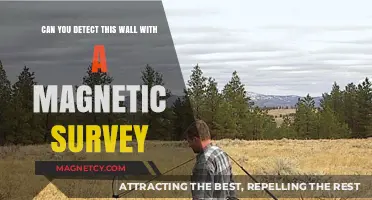 Unveiling Hidden Structures: The Power of Magnetic Surveys in Archaeology