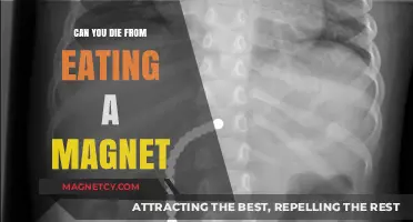 The Deadly Danger of Ingesting Magnets: Facts and Myths
