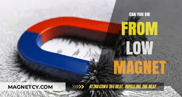 Exploring the Fatal Consequences of Low Magnetism: A Scientific Journey