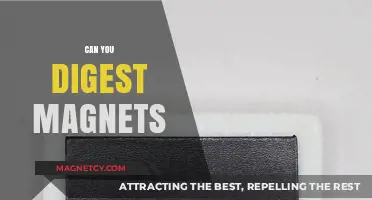 Exploring the Myth: Are Magnets Digestible?