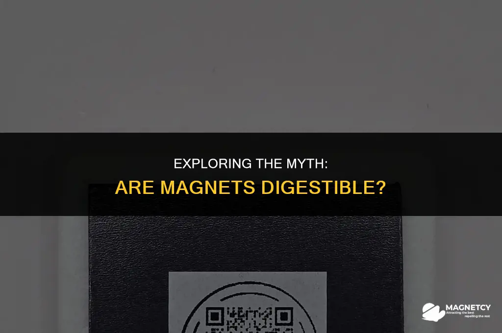 can you digest magnets