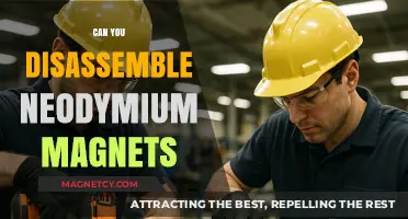 Exploring the Intricacies: Can You Disassemble Neodymium Magnets?
