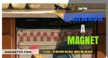 Unraveling the Mystery: Can You Really Dishwash a Magnet?