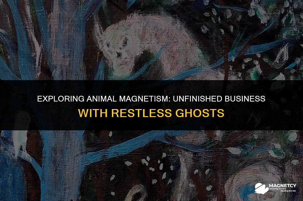 can you do animal magnetism without finishing restless ghost