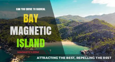 Exploring Radical Bay: A Magnetic Island Road Trip Guide