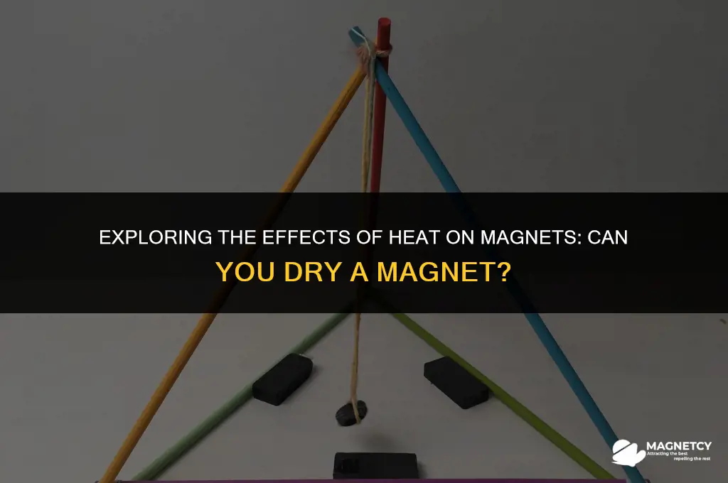 can you dry a magnet
