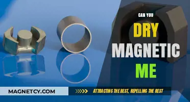 Exploring the Limits: Can You Dry Magnetic Materials?