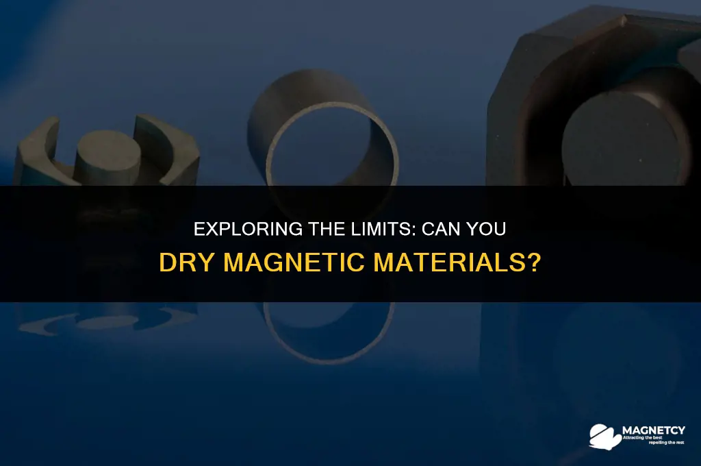 can you dry magnetic me