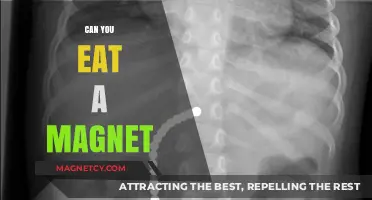 Exploring the Curious Question: Can You Eat a Magnet?