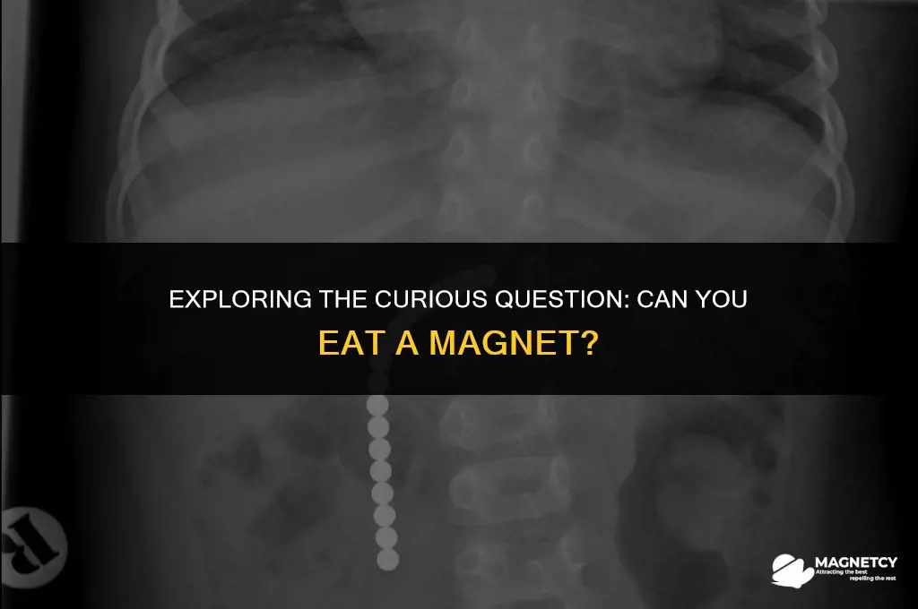 can you eat a magnet