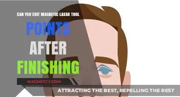 Mastering the Magnetic Lasso: Post-Selection Point Editing Tips