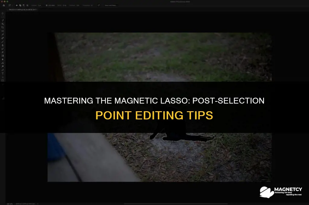 can you edit magnetic lasso tool points after finishing