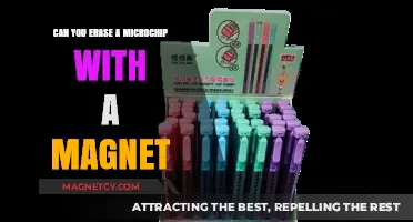 Debunking Myths: Can a Magnet Really Erase a Microchip?