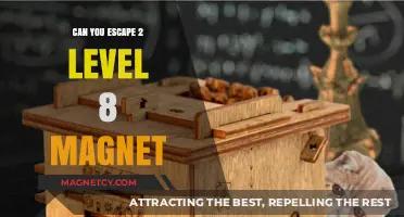 Mastering the Escape: Conquering Level 8 Magnet Challenges