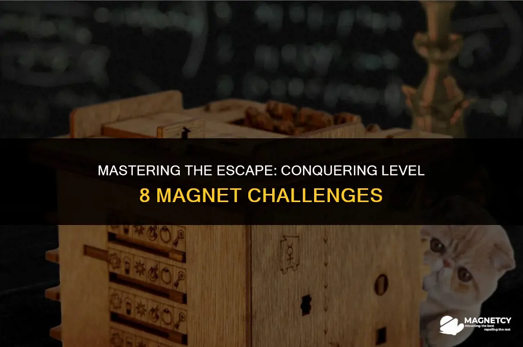 can you escape 2 level 8 magnet
