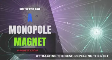 Exploring the Myth of Monopole Magnets: A Scientific Journey