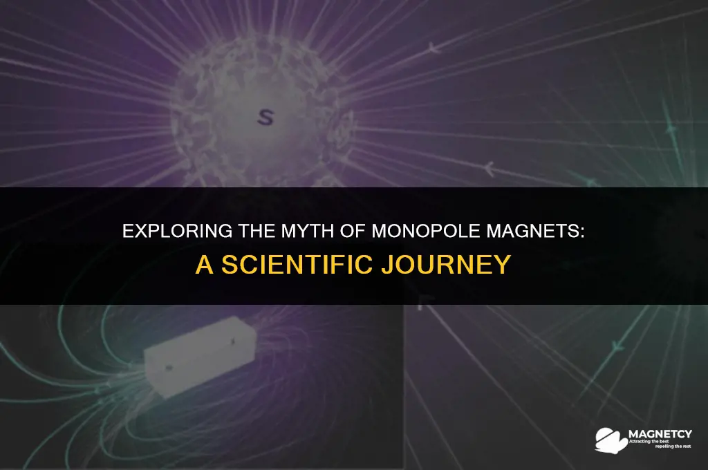 can you ever have a monopole magnet