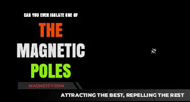 Exploring the Elusive Magnetic Monopole: A Quest for Isolation
