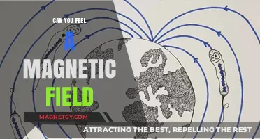 Exploring the Invisible Force: Can You Feel a Magnetic Field?