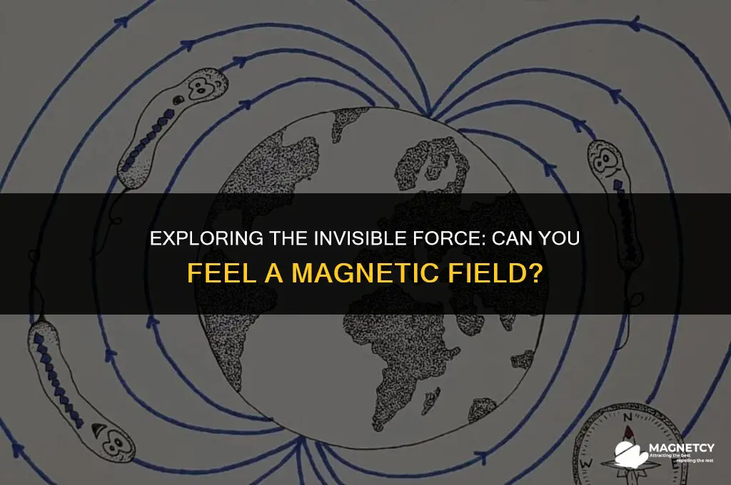 can you feel a magnetic field