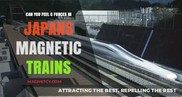 Riding the Rails of the Future: Experiencing G-Forces on Japan's Magnetic Trains