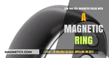 Exploring the Sensation of Magnetic Fields with a Magnetic Ring