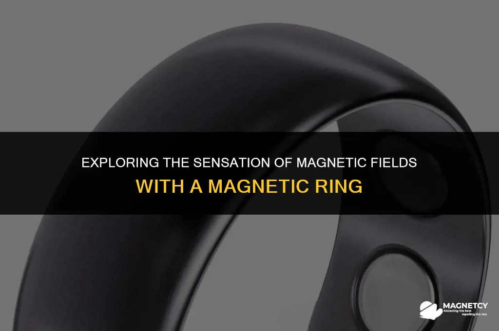can you feel magnetic fields with a magnetic ring