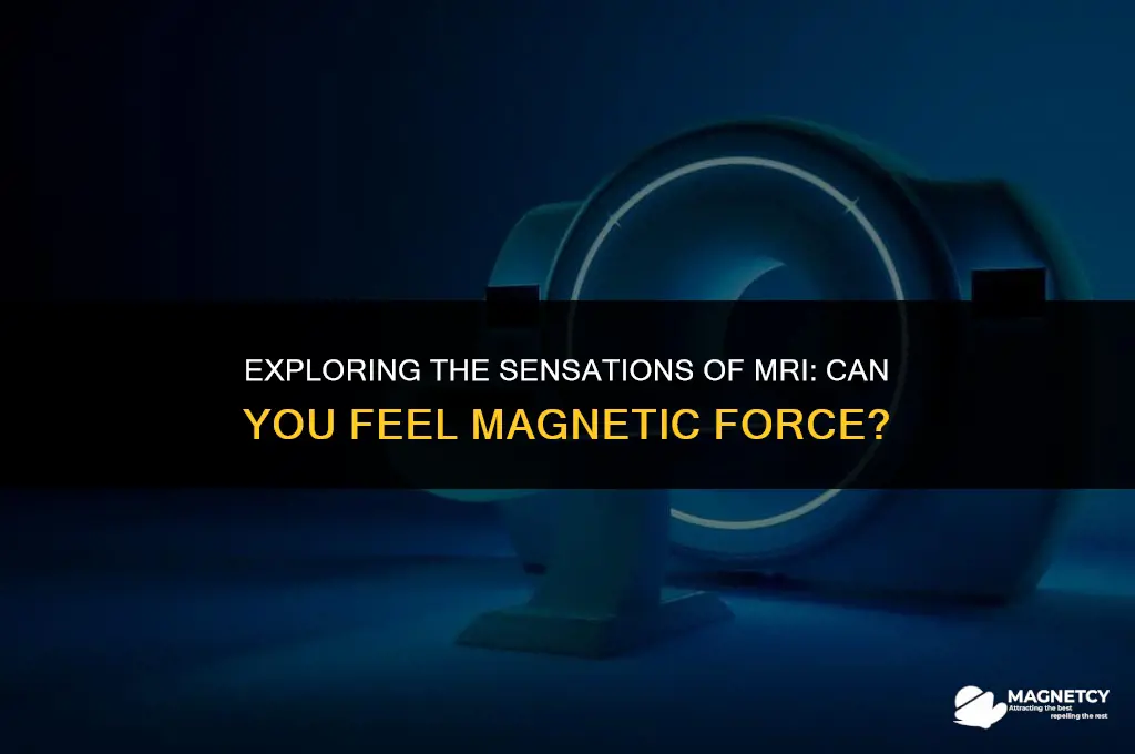 can you feel magnetic force in mri