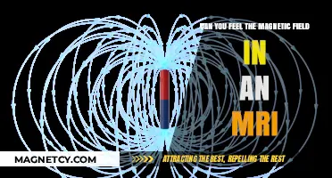 Exploring the Invisible: Can You Feel the Magnetic Field in an MRI?
