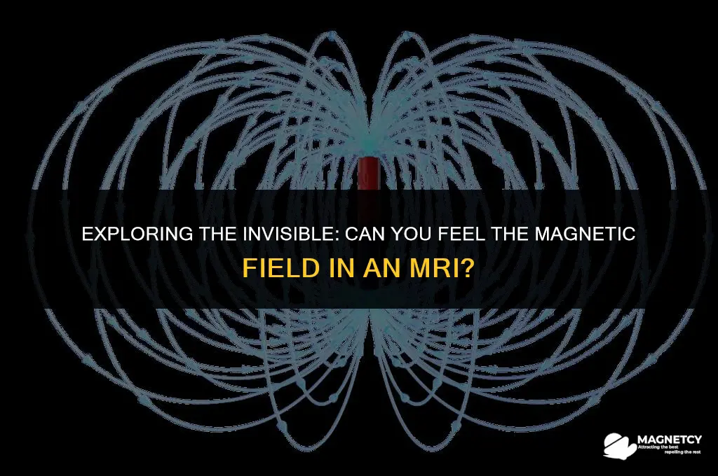 can you feel the magnetic field in an mri