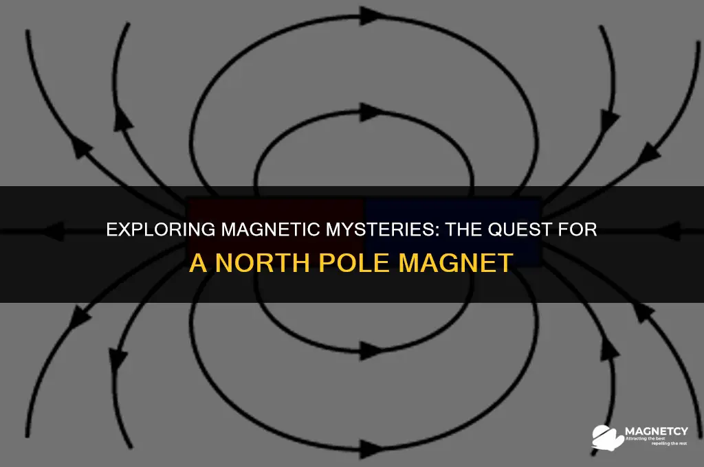 can you find a magnet with just a north pole