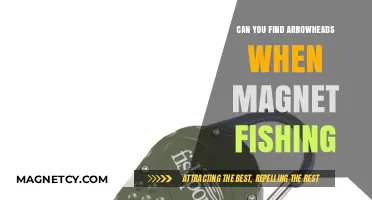 Unearthing Treasures: Magnet Fishing for Arrowheads