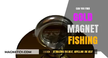 Unveiling Treasures: The Art of Gold Magnet Fishing Explored