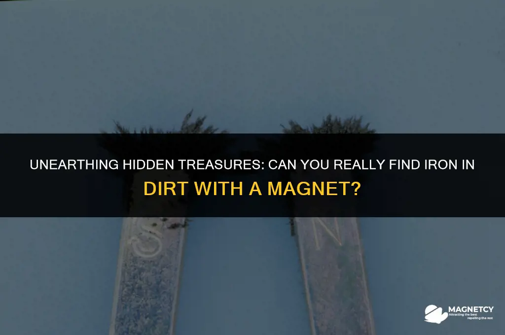 can you find iron in dirt with a magnet
