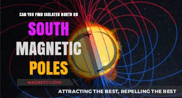 Exploring Earth's Magnetic Mysteries: The Quest for Isolated Poles