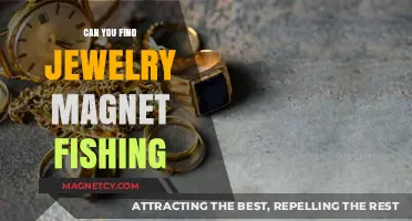 Discovering Treasures: The Art of Magnet Fishing for Jewelry