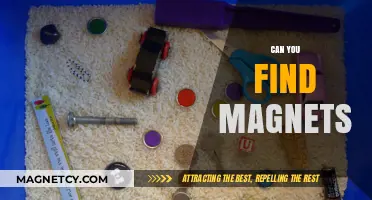 Exploring the Ubiquity of Magnets in Our Everyday Lives