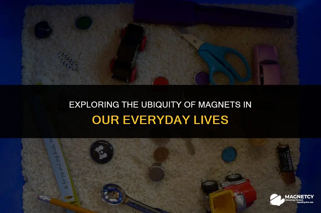 can you find magnets