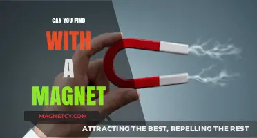 Unveiling the Mysteries: What Wonders Can You Find with a Magnet?