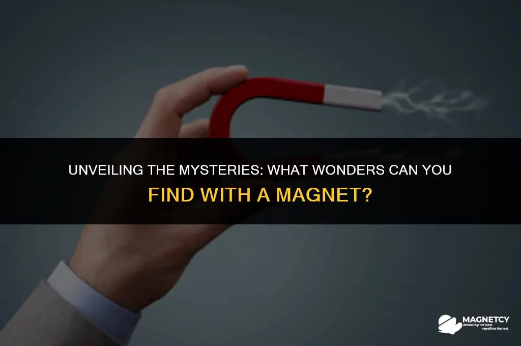 can you find with a magnet