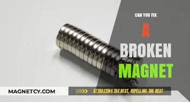 Reviving the Invisible Force: Can You Fix a Broken Magnet?