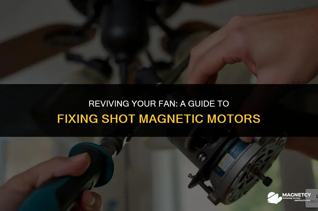 can you fix shot magnetic motors in fans