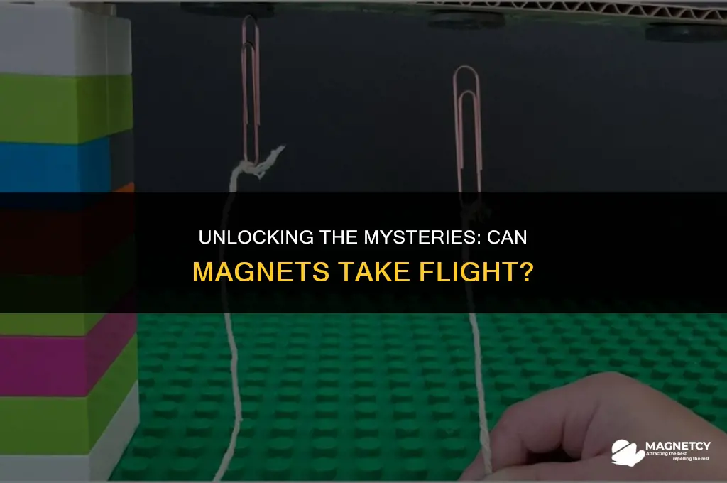 can you fly with a magnet