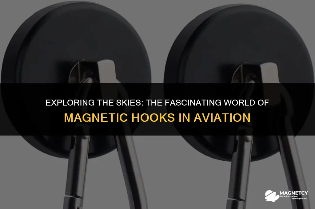 can you fly with magnetic hooks