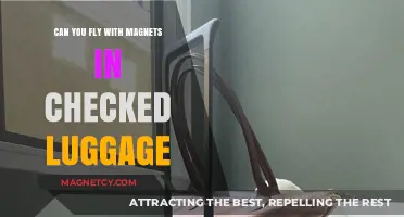 Magnetic Mysteries: Unraveling the Rules of Flying with Magnets in Checked Luggage