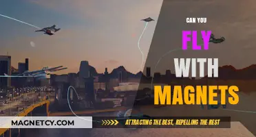 Can You Fly with Magnets? Exploring Magnetic Levitation and Flight