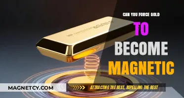 Unveiling the Truth: Can Gold Be Forced to Become Magnetic?